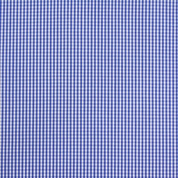 Classic Stripes and Checks[513418]