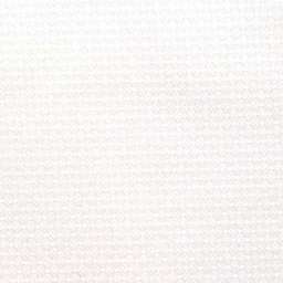 White on White Shirting[513922]