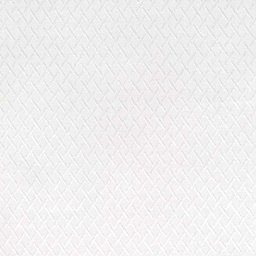White on White Shirting[513923]