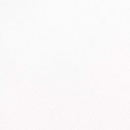 White on White Shirting[513925]