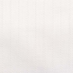 White on White Shirting[513941]