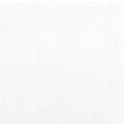 White on White Shirting[513944]
