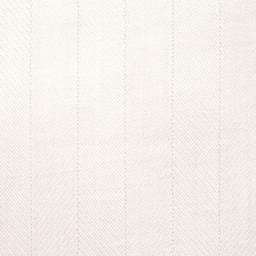 White on White Shirting[513960]