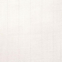 White on White Shirting[513960]