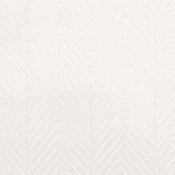 White on White Shirting[513966]