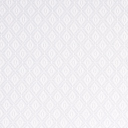 White on White Shirting[511504]