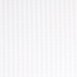 White on White Shirting[511529]