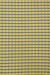 Business Casual Shirting[512107]