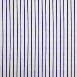 Business Casual Shirting[512149]