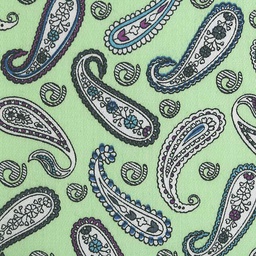 Prints Shirting[514112]