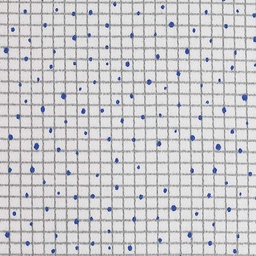 Prints Shirting[514171]