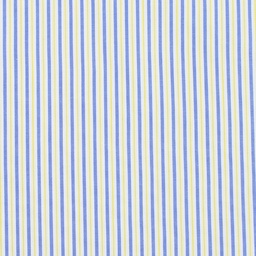 Classic Stripes and Checks[515478]