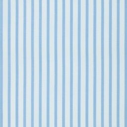 Fancy Stripes and Checks Shirting[514846]