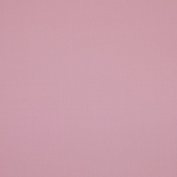 Guabello Motion[105573]