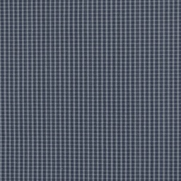 Jackson[511469]