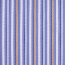 Business Casual Shirting[513122]