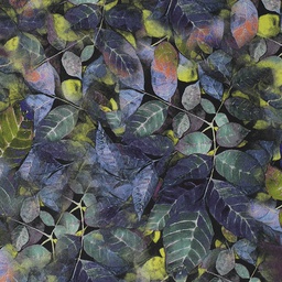 Digital Printed Shirting - Vol.2 (Giza Cotton)[515055]