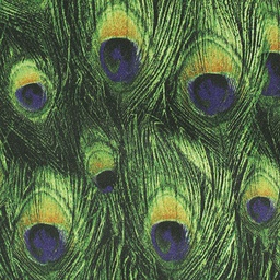 Flash Linings[700590]